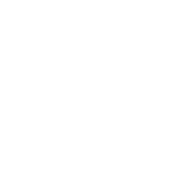 Autobus